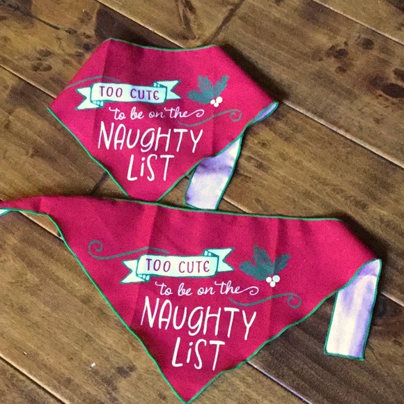 Other - Dog bandanas holiday puppy lodge Christmas photo pet portraits